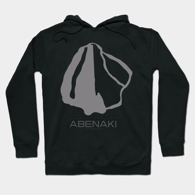 Abenaki Resort 3D Hoodie by Mapsynergy